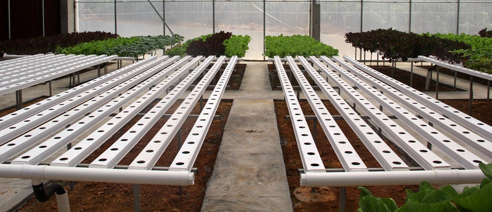 Wholesale Price Hydroponics Lettuce Growing System Hydroponic Nft Channel Micro Greens Growing Trough Greenhouse Gutter System