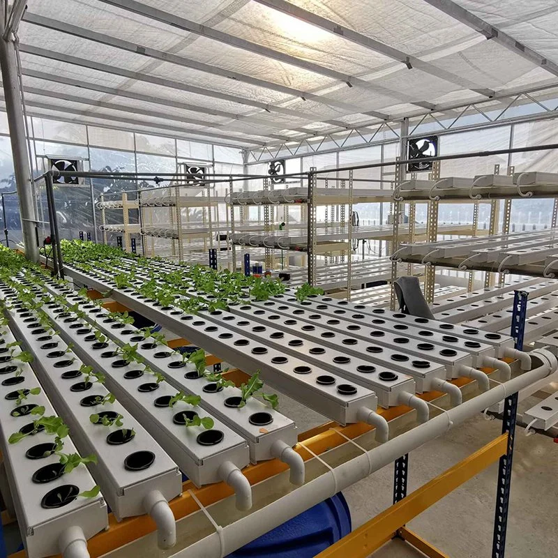 High Quality Agricultural Hydroponics Greenhouse Equipment Microgreens Indoor Greenhouse Growing System for Micro Green